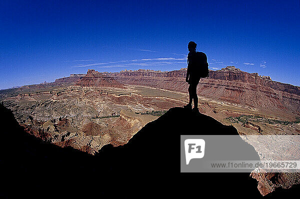 Silhouetted woman standing on rock looking out over desert