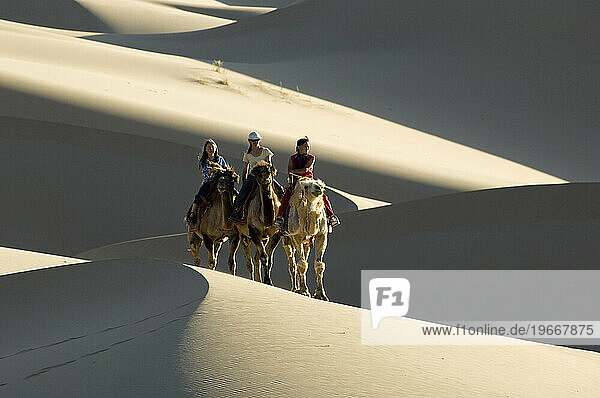Khongoryn Els sand dunes  Gobi National Park  Mongolia