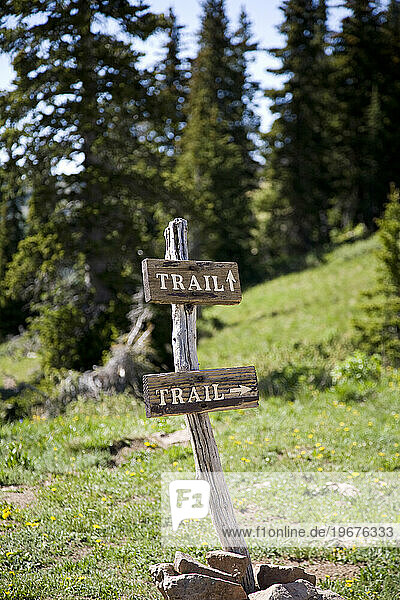 Trail sign in the La Sal mountains near Moab  Utah  United States.