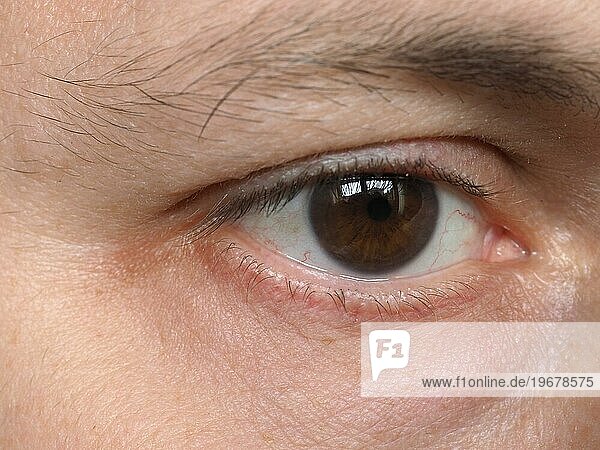 Detail des menschlichen Auges