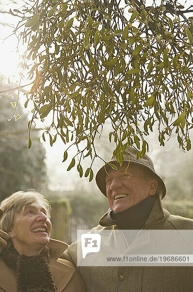 Mature couple standing under a tree looking up and smiling