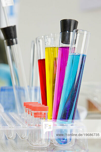 Test tubes with colorful fluids