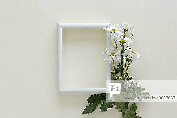 Leeren weißen Rahmen mit Blumen isoliert weißem Hintergrund
