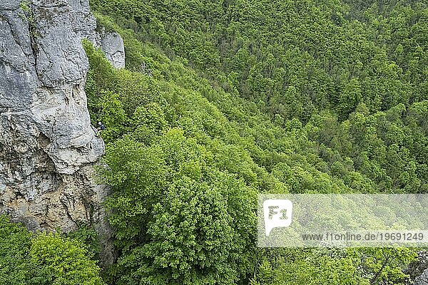 Kletterer  Felsen und Wald  Ruine Reußenstein  Schwäbische Alb  Baden-Württemberg  Deutschland  Europa
