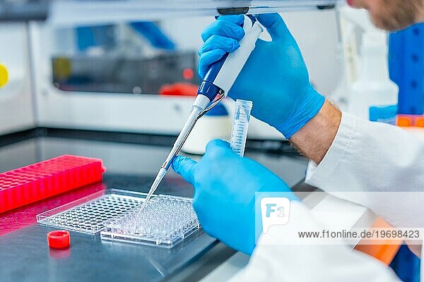 Nahaufnahme der Hände eines Wissenschaftlers  der medizinische Proben in eine Mikroplatte im Labor pipettiert