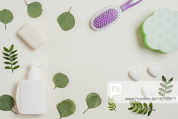 Seife Haarbürstenspender Flasche grüne Blätter weißer Hintergrund
