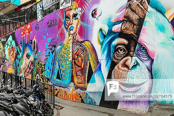 Graffiti an den Hauswänden  Comuna 13  Medellin  Kolumbien  Südamerika