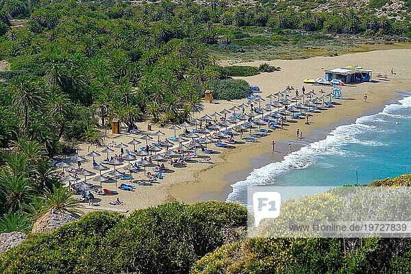 Palmen  Strand  Meer  Urlaub  Reisen  Sonnenbaden  Wellen  Touristen  Attraktion  Relaxen  Ausruhen  Schwimmen  Reisende  Vegetation  Vai Beach  Kreta  Griechenland  Europa