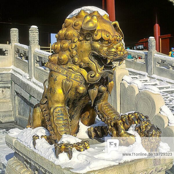 Eine goldene Löwenstatue in der Verbotenen Stadt  Palastmuseum  Zijin Cheng  Peking  China  vor dem Palast der himmlischen Reinheit  Asien