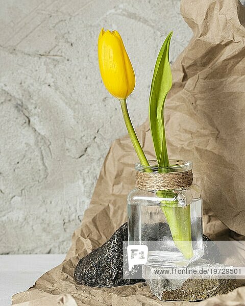 Vorderansicht gelbe Tulpe transparente Vase