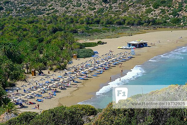 Palmen  Strand  Meer  Urlaub  Reisen  Sonnenbaden  Wellen  Touristen  Attraktion  Relaxen  Hintergrund unscharf  Ausruhen  Schwimmen  Reisende  Vegetation  Vai Beach  Kreta  Griechenland  Europa