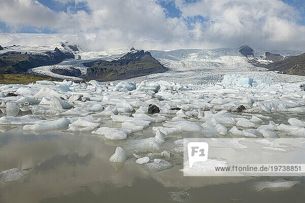 Iceland  Icebergs in Fjallsarlon lake with Vatnajokull glacier in background