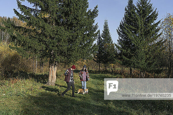 Couple playing with dog in nature park on weekend
