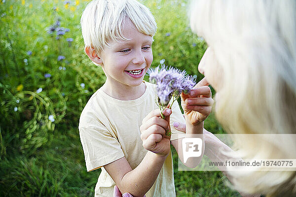 Smiling grandson looking at flower with grandmother in field