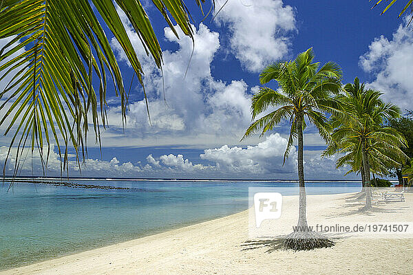 South Pacific tropical scene of Rarotongas idyllic lagoon with beach and palm trees; Rarotonga Island  Cook Islands