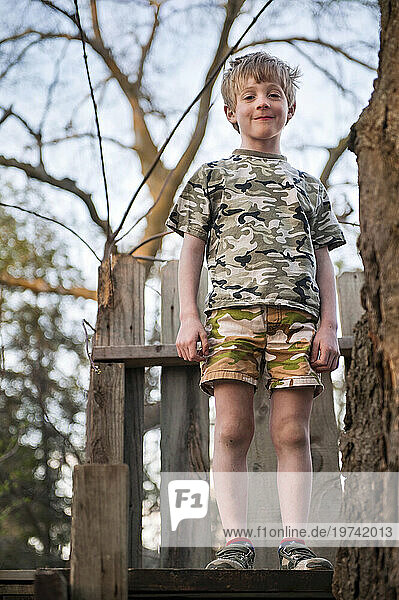 Young boy plays in his treehouse; Lincoln  Nebraska  United States of America