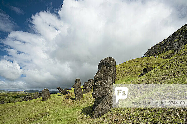 Moai at Rano Raraku Quarry on Easter Island; Hanga Roa  Easter Island  Chile