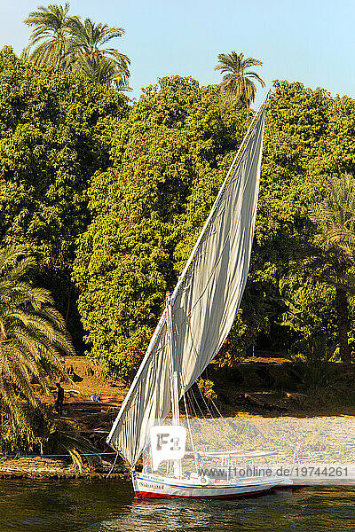 Felucca along the banks of the Nile river in Egypt; Egypt