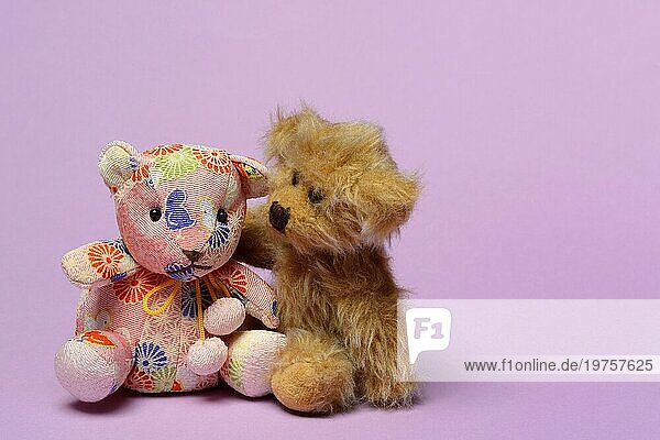 Zwei verschiedene Teddybären  sich zugeneigt