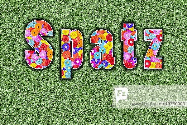 Spatz  Kosewort für den Ehepartner  Partner  Kosenamen ausgeschrieben  farbenfroh  viele Blumen  sommerlich  Grafikdesign  Illustration  Hintergrund grün