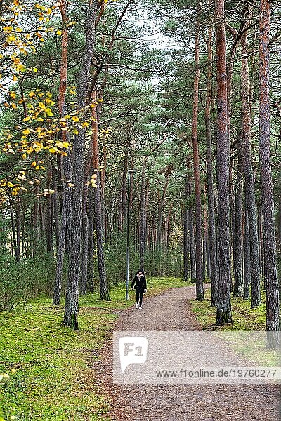Junge Frau geht auf einem Waldweg im Herbst in Ystad  Schonen  Schweden  Skandinavien  Europa