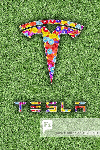 Tesla Auto Logo mit Blumendesign auf grünem Untergrund  Illustration  Grafik  Blumenmuster  bunte Blumen  farbenfroh  Symbol für erneuerbare  saubere Energie  Umweltschutz  Elektroautos  Schriftzug  Buchstaben  bunt  Klima  Klimaneutral  Symbol  Konzept  Elektroantrieb  Autoindustrie