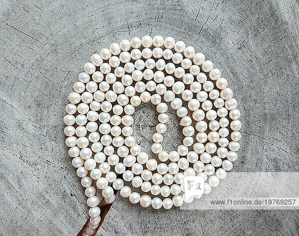 Spirale aus weißen Perlen sieht aus wie eine Pusteblume auf rauer Oberfläche eines alten Baumstumpfes. Foto in hoher Qualität