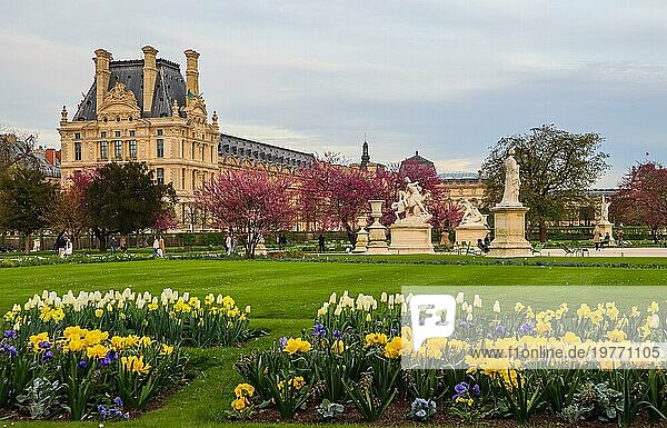 Wunderschöner Frühlingsgarten der Tuilerien und Blick auf den Louvre Palast in Paris Frankreich