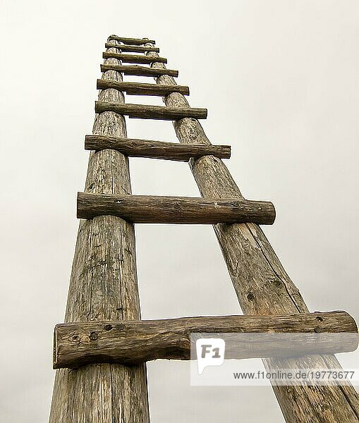 Alte Holzleiter auf der Wiese  die hoch in den Himmel führt  Leiter zum Himmel. Symbol der Karriere