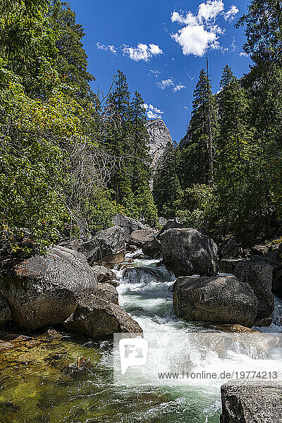 Merced River  Yosemite National Park  UNESCO World Heritage Site  California  United States of America  North America