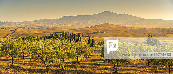 View of golden Tuscan landscape near Pienza  Pienza  Province of Siena  Tuscany  Italy  Europe