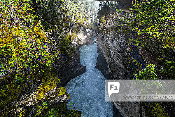 Athabasca Falls at sunrise  Glacier Parkway  Jasper National Park  UNESCO World Heritage Site  Alberta  Canadian Rockies  Canada  North America