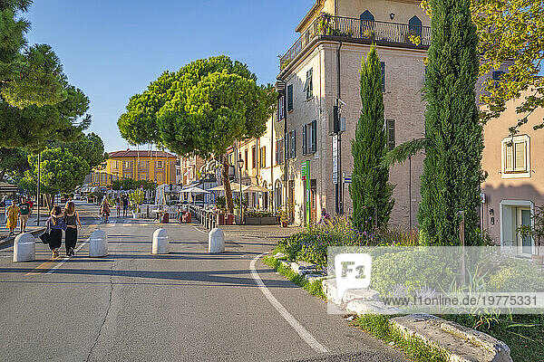 View of colourful buildings  cafe and cypress trees in Borgo San Giuliano  Rimini  Emilia-Romagna  Italy  Europe