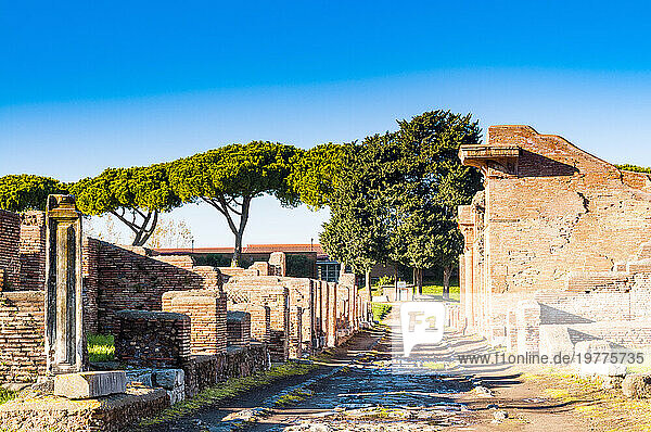 Cardus  Ostia Antica archaeological site  Ostia  Rome province  Latium (Lazio)  Italy  Europe