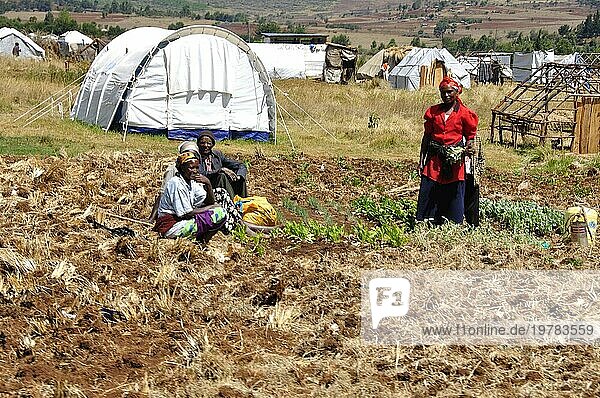 Kenia Rot Kreuz Flüchtlingslager  wo immer noch 100'000 Menschen unter schlechten Bedingungen leben. Rot Kreuz Flüchtlingslager in Eldoret. Noch immer leben 100'000 Vertriebene in den Durchgangslagern der Hilfsorganisationen