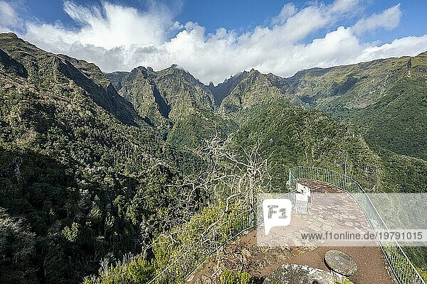 Aussichtspunkt Miradouro dos Balcões  Dicht bewachsene steile Berge  grüne Berglandschaft  Bergtal Ribeira da Metade und das Zentralgebirge  Madeira  Portugal  Europa