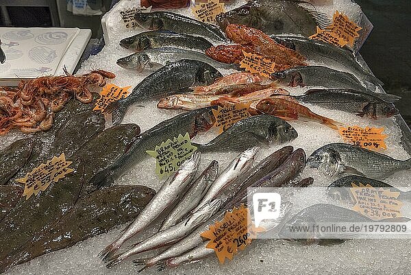Frische Fische auf Eis an einem Fischstand in der großen Markthalle  Mercato Orientale  Via XX Settembre  75 r  Genua  Italien  Europa