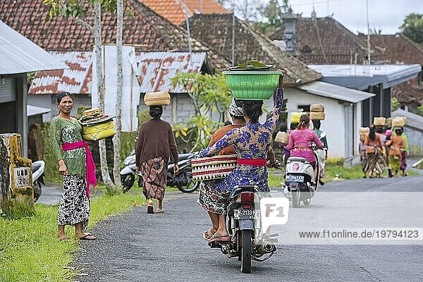 Balinesische Frauen  die in der Nähe von Ubud  Gianyar Regentschaft auf der Insel Bali  Indonesien  Waren auf dem Kopf transportieren  Asien