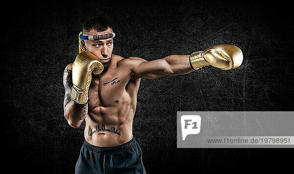 Porträt eines Boxers der gemischten Kampfkünste. Das Konzept des Sports  MMA  Kickboxen.