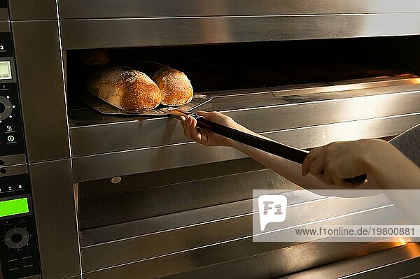 Frauenhände mit Handschuhen halten eine Schaufel mit einem Laib handwerklich hergestelltem Brot. Er nimmt frisches  heißes Brot aus dem Ofen. Herstellung von hausgemachtem Brot