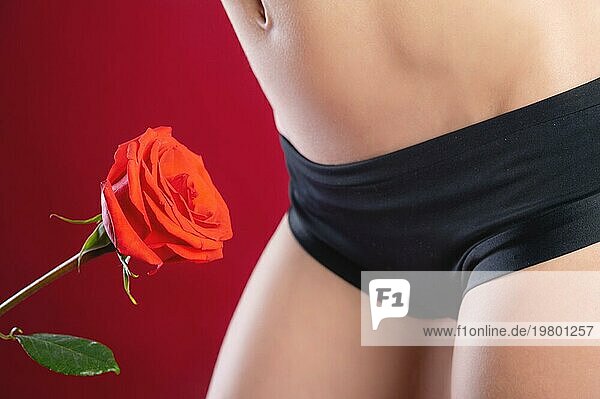 Nahaufnahme der Oberschenkel und Unterleib der Frauen auf dem roten Hintergrund neben der Blume Rose rot. Das Konzept der Zärtlichkeit der Glätte der Haut und Laser Haarentfernung von der Oberfläche des weiblichen Körpers
