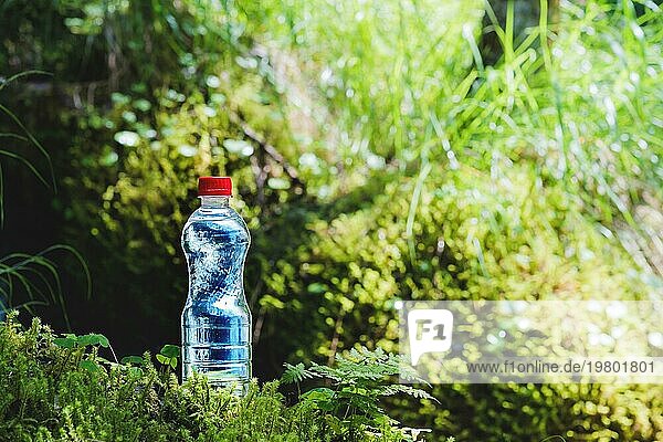 Transparenter Kunststoff Eine Flasche mit sauberem Wasser mit rotem Deckel steht im Gras und Moos vor dem Hintergrund eines zerklüfteten Bergflusses. Das Konzept des reinen natürlichen Trinkwassers
