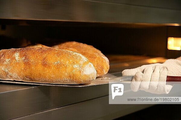 Frisch gebacken. Nahaufnahme einer Schaufel  die frisch gebackenes Brot aus dem Ofen holt. Handwerkliche Bäckerei. Kopierraum
