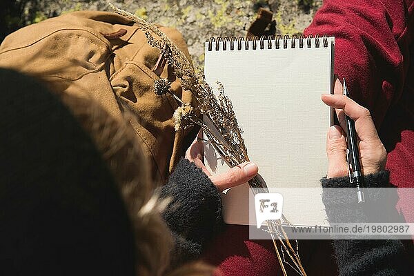 Mädchen Maler zeichnet einen Bleistift in einem Notizbuch auf die Natur in den Bergen. Freie Kreativität und Freiberuflichkeit