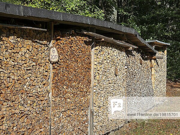 Brennholz Stapel  in Holzscheite gehackt und gestapelt  Deutschland  Europa