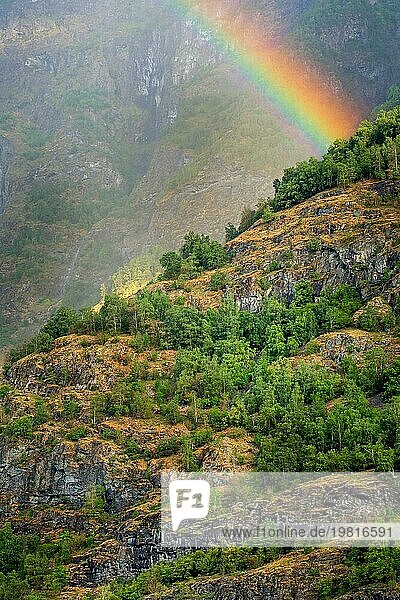 Regenbogen in Norwegen Berge Wald in der Nähe Fjord im Sommer  Hintergrund mit copyspace