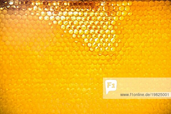 Unfertiger goldfarbener frischer Honig in hellen Waben