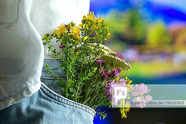 Schöne zarte Blumen in der vorderen Tasche der Jeans im Freien  Nahaufnahme  Sommer Liebe romantisches Konzept