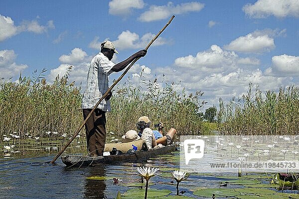 Touristen in einem traditionellen Holzkanu  Mokoro  Makoro im Okavangodelta Botswana