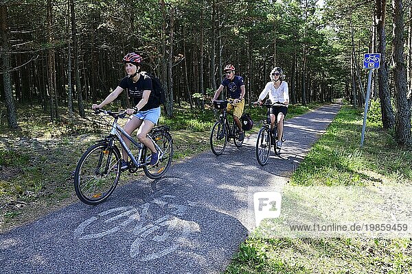 Radfahrer auf dem Radweg Nr. 10 der Kurischen Nehrung  Juodkrante  Litauen  Europa